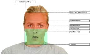 Facial locations used to define the areas of interest for analysis.