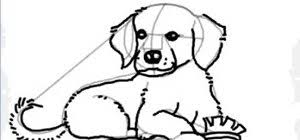 Lets start by drawing three connected oval shape circles for his head, body and tail. How To Draw A Cartoon Golden Retriever Puppy Dog Drawing Illustration Wonderhowto