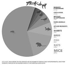 A Mouse By Any Other Name Nomenclature Tutorial Nifty Science Animals Mouse Traps