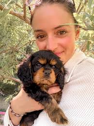 wild card cover & synopsis • Who guessed purple?! I know some of you were  onto me with this 🌈 theme. Wild Card (the fourth and final book in the Rose