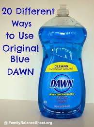 20 Different Ways To Use Original Dawn Blue Family Balance Sheet Cleaning Cleaning Hacks House Cleaning Tips