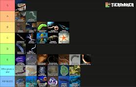 Image result for Phyla