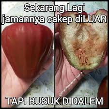 Gambar Sindiran Halus Untuk Orang Munafik Kutipan Tentang Kehidupan Bijak Kutipan Lucu