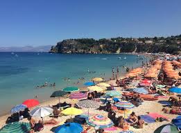 Image result for Gilgiochloa