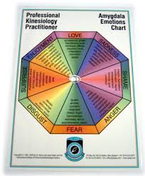 Aec5521 Amygdala Emotions Chart Kinesiology Learning