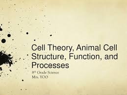 Prokaryotic cells and eukaryotic cells (like the one shown in the tour of an animal cell animation). Ppt Cell Theory Animal Cell Structure Function And Processes Powerpoint Presentation Id 5667118
