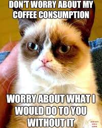 33 Signs That Coffee Owns You Grumpy Cat Humor Grumpy Cat Quotes Grumpy Cat