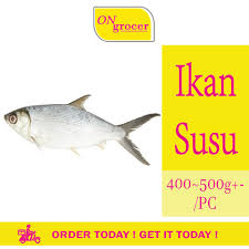 Thanks to access to unique technologies, students can successfully pursue research in various fields. A0862 Ikan Susu 400 500g Pc Lazada