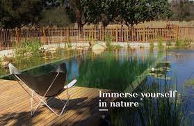 Natural Swimming Pools Australia Immerse Yourself In Nature Natural Swimming Pools Swimming Pools Diy Ponds Backyard
