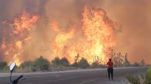 Rond de middag ontstaat een brand in kineta, een dorpje aan het strand tussen athene en korinthe. 6vgqv5ghcxfr8m