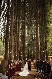 Ymca Camp Campbell Forest Wedding Forest Theme Wedding Forest Wedding Venue