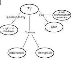 Describe the typical cell cycle of prokaryotes. 2