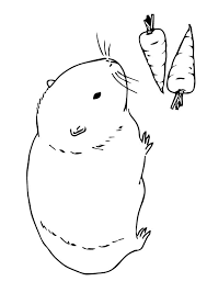 Nette tiermotive, lustige comicfiguren oder schöne blumen, zum beispiel eignen sich meerschweinchen ausmalbild besonders gut. Meerschweinchen Ausmalbild The Secret Life Of Guinea Pigs September 2008 Den Eigentlichen Meerschweinchen Caviinae Mit Dem In Mitteleuropa Bekannten Hausmeerschweinchen Lubang Ilmu