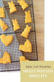 Try These Baby Led Weaning Sweet Potato Biscuits Baby Led Weaning Recipes Sweet Potato Biscuits Baby Led Weaning