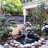 Ikan ini biasanya dipelihara didalam kolam. 1