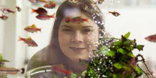 Quoted Oslo: Willy Freddy Shanti