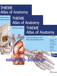 Atlas of musculoskeletal ultrasound anatomy dr mike bradley, frcr consultant radiologist, north. Thieme Atlas Of Anatomy By Schuenke 3rd Edition 3 Volume Set Vasiliadis Medical Books