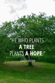 Find & download free graphic resources for tree plantation. Adithiyanrajanblog Page 2 Adi S Blog