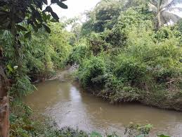 Đồng nai is a province in the southeast region of vietnam, located east and northeast of ho chi minh city (saigon). Road Through The Nature Reserve Picture Of Dong Nai Province Vietnam Tripadvisor