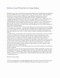 Academic Writing Sample Essay Awesome Sample Essay Academic Achievement Essay Writing Tips Reflective Essay Examples Essay