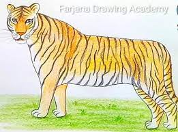 We did not find results for: How To Draw A Bengal Tiger Step By Step Easy Animals To Draw