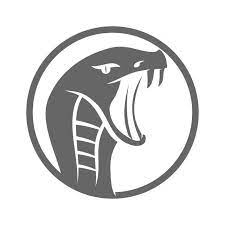 Snake Cobra Head Logo Template Vector Illustration Isolated Immagini
