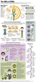 Pin On Healthy Eating Toxic Foods