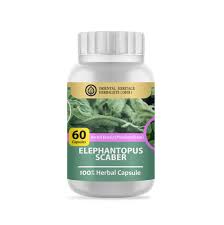 Image result for Elephantopus scaber