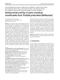 Image result for Trichilia prieuriana