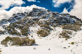 The feeling of winter vary dramatically in different parts of the snow in winter in the major cities in australia is a rarity (once a decade type of event, and even then it's only a light dusting), and the temperature in. 10 Facts About Australia That May Surprise You Travel Nation