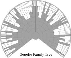 Genetic Family Tree Family Tree Chart Genealogy Family