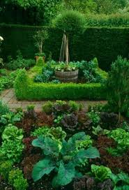 Pin By Alice Walker On Garden Beautiful Gardens Plants Potager Garden