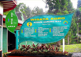 Gunung Mas Puncak-Paket Outbound Puncak