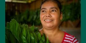 Zandra Martinez is new Chairperson of the Forest Stewardship Council Board  of Directors