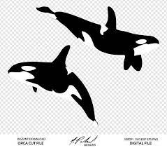 Pin On Orca