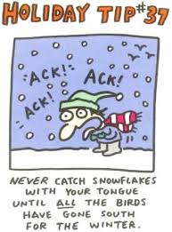 Why Do Birds Fly South For The Winter Joke Never Catch Snowflakes With Your Tongue Funny Christmas Pictures Christmas Humor Christmas Jokes