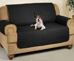 The cover repels liquid (though it's not waterproof) and protects your couch from pet hair and other messes. Dog Proof Couch All Products Are Discounted Cheaper Than Retail Price Free Delivery Returns Off 66