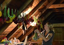 See more ideas about dried flowers, how to preserve flowers, flowers. How To Dry Cut Flowers Johnny S Selected Seeds