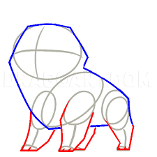 Some shiba inu coloring may be available for free. How To Draw A Shiba Inu Coloring Page Trace Drawing
