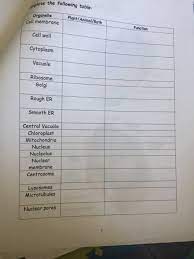 Cholesterol molecules are selectively dispersed between membrane phospholipids. Te The Following Table Organelle Cell Membrane Chegg Com