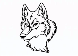 How to draw a wolf part 2: How To Draw A Wolf Step By Step For Beginners
