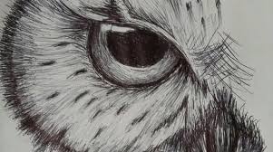 Love Owls Create A Sketch Transfer To Body Art Sketch By Cdkingof1982 Body Art By Kissassthings Whatwi Art Sketches Pencil Owls Drawing Drawing Sketches