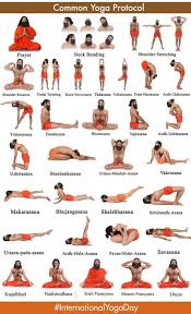 Common Yoga Protocol For Beginners To Advanced Yoga Yogaprotocol Internationalyogaday Babaramdev Ramdev Hatha Yoga Poses Ramdev Yoga Patanjali Yoga