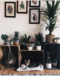 Topfpflanzen Speicherwurfel Holz Passende Gerahmte Kunst Katze Bohem Stil So Richten Sie Ein Babyzimmer Ein In 2020 Topfpflanzen Pflanzen Dekor Wurfelregal