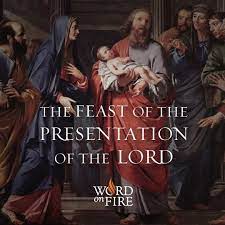 And predestined by his firstborn status to serve as a priest. Pin On Bishop Robert Barron