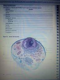 Maybe you would like to learn more about one of these? Question Chegg Com