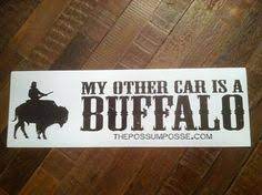 25 Guy On A Buffalo Ideas Possum Buffalo Posse