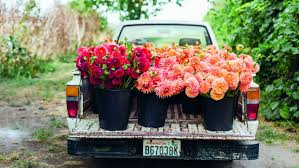 We did not find results for: Want To Give Mom Flowers But Don T Want To Give Her Another Bouquet Try These Gifts Instead