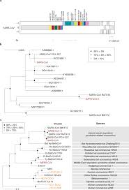 The Species Severe Acute Respiratory Syndrome Related Coronavirus Classifying 2019 Ncov And Naming It Sars Cov 2 Nature Microbiology