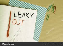 Writing Note Showing Leaky Gut Business Photo Showcasing A